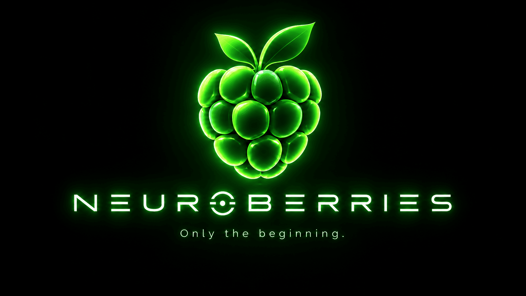Neuroberries